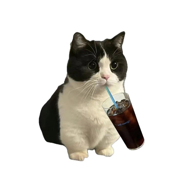 kucing sedang menyimak kesimpulan tentang ai tools digital marketing