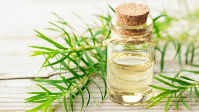 Botol tea tree oil sebagai cara menghilangkan jerawat secara alami