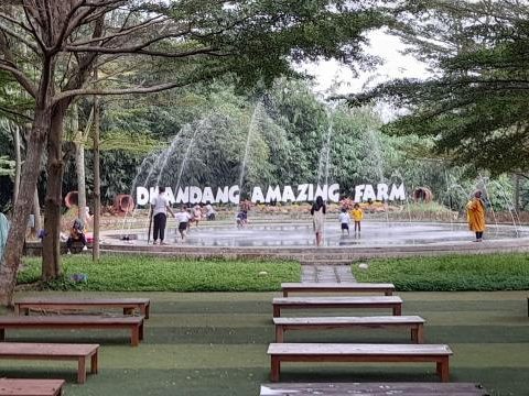 Dkandang Amazing Farm