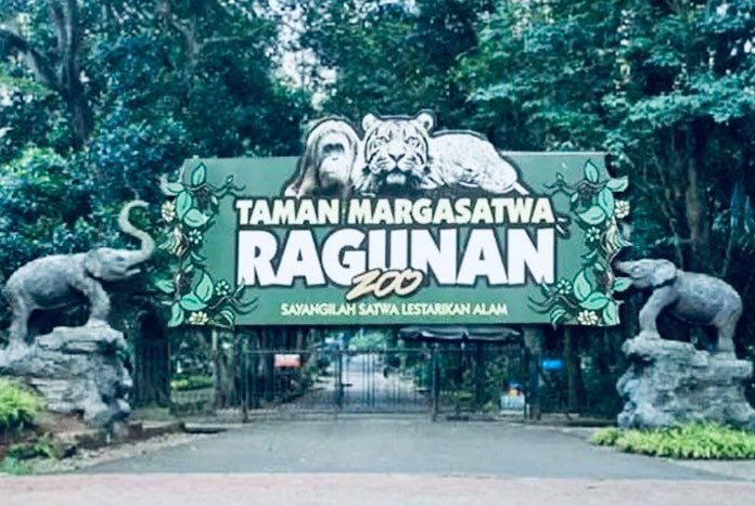 Objek Wisata Edukatif: Taman Margasatwa Ragunan