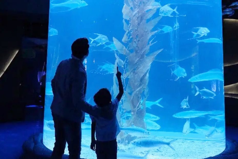 Objek Wisata Edukatif: Jakarta Aquarium

