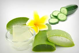Masker Timun dan Aloe Vera